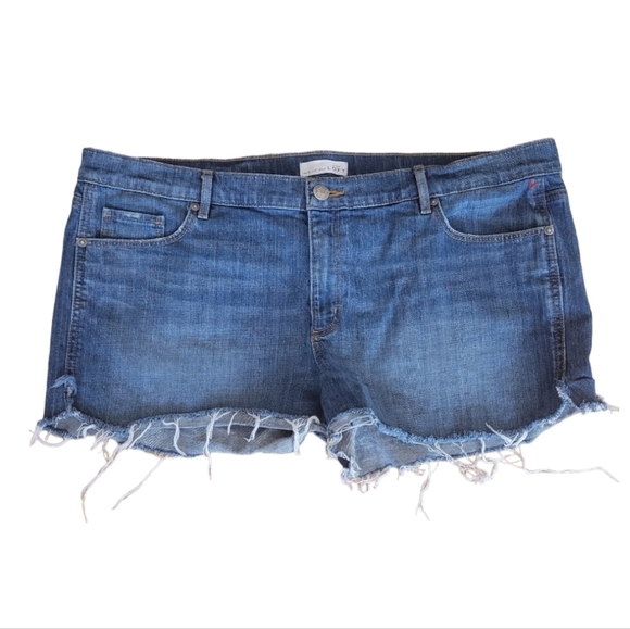 LOFT Distressed Cutoffs Denim Jeansm Shorts Size 18 - Picture 1 of 2
